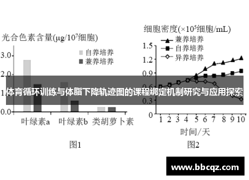 体育循环训练与体脂下降轨迹图的课程绑定机制研究与应用探索