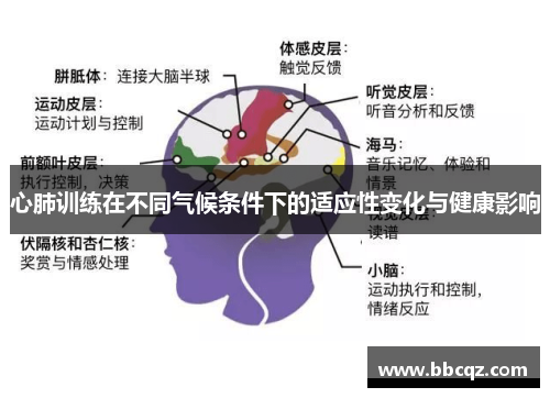 心肺训练在不同气候条件下的适应性变化与健康影响